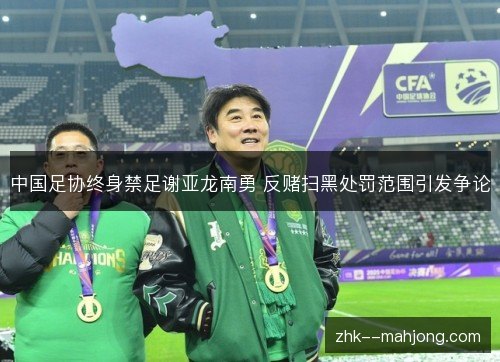中国足协终身禁足谢亚龙南勇 反赌扫黑处罚范围引发争论 中国足协终身禁足谢亚龙南勇 反赌扫黑处罚范围引发争论
